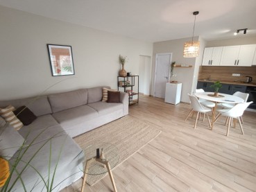 One-bedroom apartment for rent in Vinitsa district