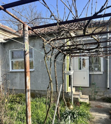 One-story house with a large yard in the village of Miladinovtsi