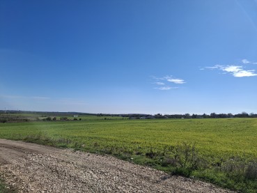 Три парцела за продажба в село Кичево